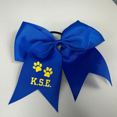Ribbon 6701 KSE Logo Thumbnail