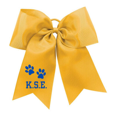 Ribbon 6701 KSE Logo Thumbnail